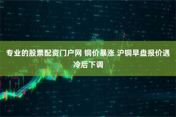 专业的股票配资门户网 铜价暴涨 沪铜早盘报价遇冷后下调