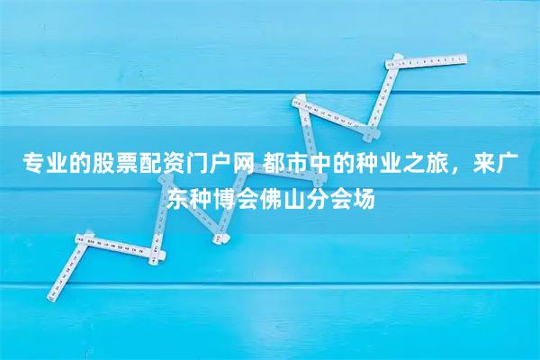 专业的股票配资门户网 都市中的种业之旅，来广东种博会佛山分会场